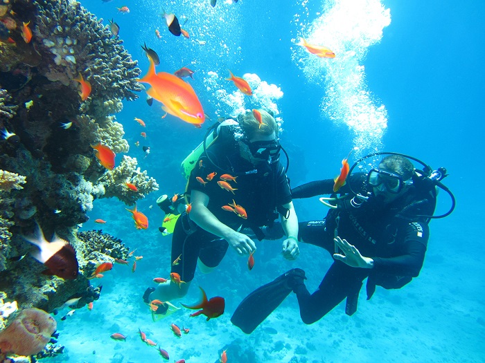 Red Sea in Egypt